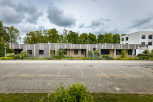 &wa seinsleutelbloem 9743